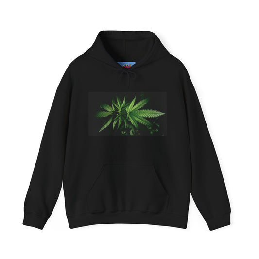 Illuminated Cannabis Plant Graphic Unisex Heavy Blend™ Hooded Sweatshirt