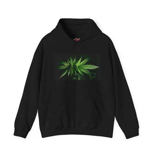 Black Cannabis Unisex Heavy Blend™ Hooded Sweatshirt