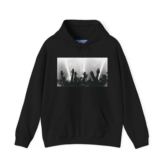 Music Lover Hoodie With Concert Graphic Unisex Black Hoodie for Musicians